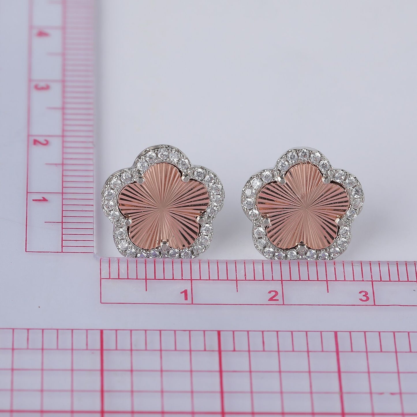 Pretty Charming Earrings