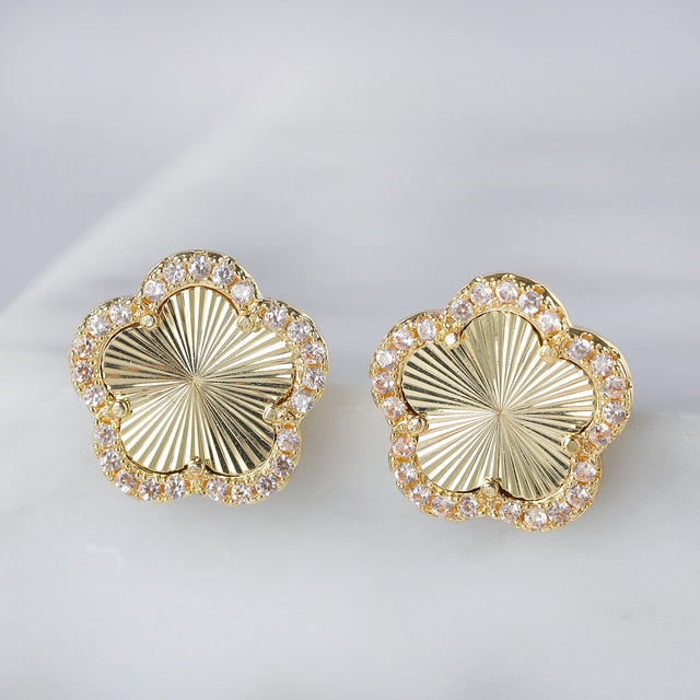 Pretty Charming Earrings